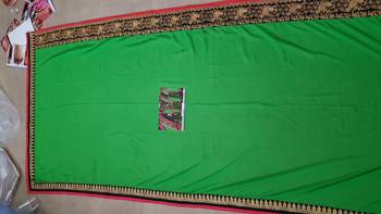 Parrot Green Embroidered Georgette Saree With Blouse 4