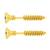 Piercing Gold Stainless Steel Screw Design Fashion Bali Round Studs Earring for Men Boys