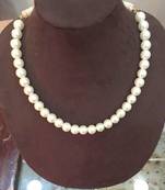 Single Line Pearls Necklace