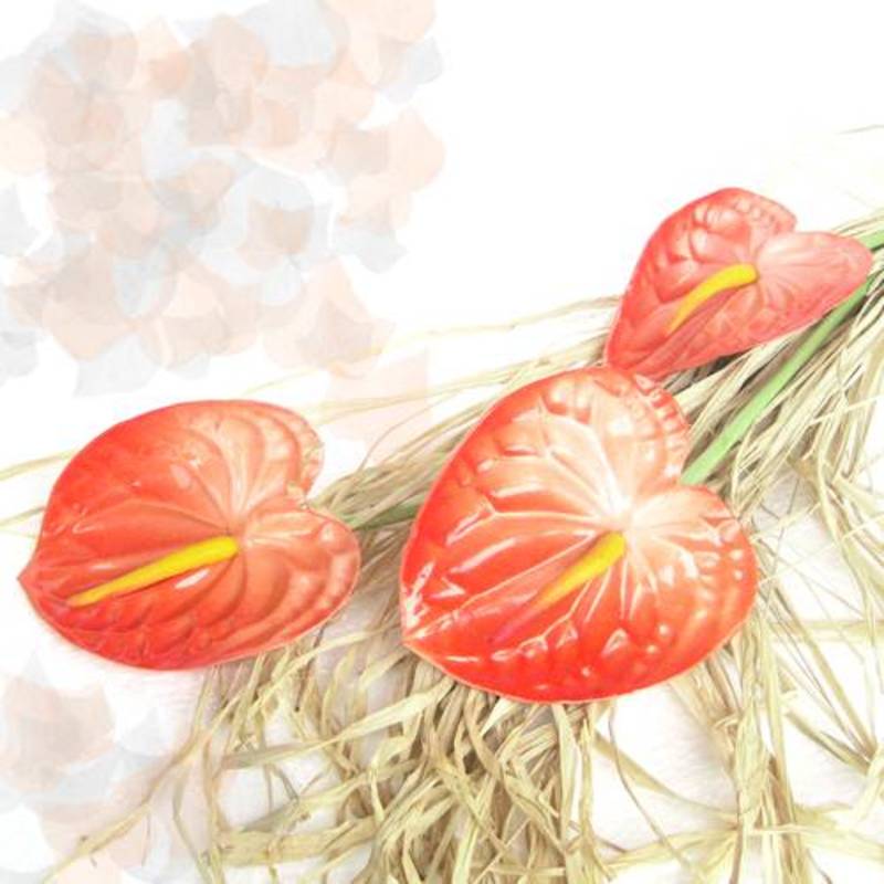 Abundance