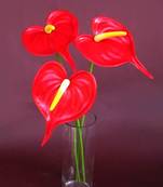 Anthuriums Natural Touch Red (Artificial)