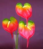 Anthuriums Natural Touch Orange (Artificial)