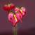 Anthuriums Natural Touch Red Shaded (Artificial)