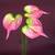 Anthuriums Natural Touch (Artificial) Lt. Pink