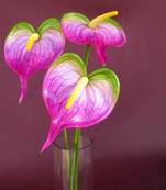 Anthuriums Natural Touch Purple (Artificial)