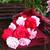 Bunch of Artificial Roses and Carnations