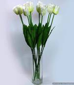 Elegante Tulipe
