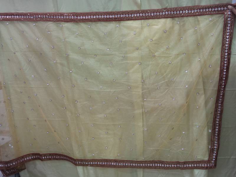 Genelia Dsouza Net Sequins work off white Bollywood style saree