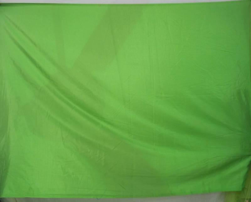 Sridevi Net Sequins work Bollywood Style Saree