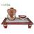 eCraftIndia Lord Ganesha & Diya on Chowki