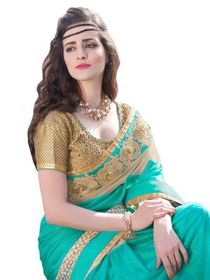 Blue embroidered lycra saree with blouse 2
