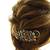 Peacock Hair Clip