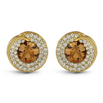 Brown Studded Jewellery Studs 1