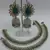 Green coloue Aashiqui 2 Earings & Anklets