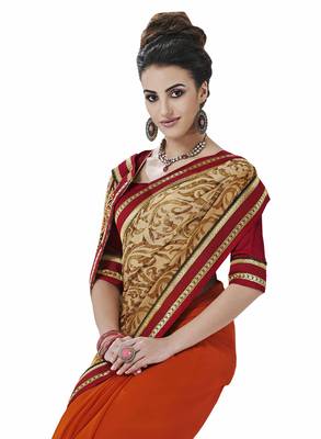 Multicolor embroidered chiffon saree with blouse 2