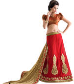 Red embroidered georgette saree with blouse