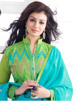 Light Green Chanderi Embroidered Straight Suit Dress Material 2