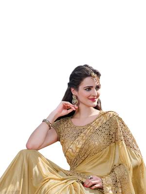 Beige embroidered lycra saree with blouse 2