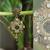 Inlay work earrings with Green Drop