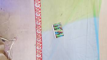 Parrot Green And Sky Embroidered Nylon Net Saree With Blouse 3
