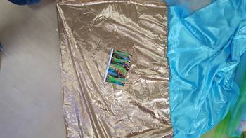 Parrot Green And Sky Embroidered Nylon Net Saree With Blouse 4