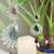 Crystal Stone Encrusted Dangler Earrings with Green and Maroon Stone