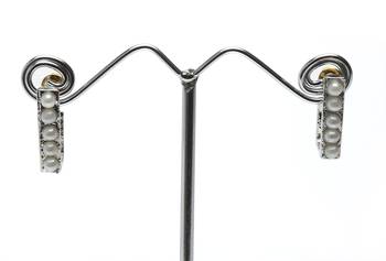 Elegant Titanium Finish Casual Look Earring 1