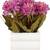 Set Of 2 Red & Purple 18.5 Cm Artificial Guldaudi Flower Plant