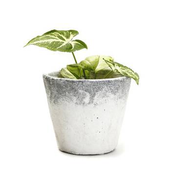 Conical Shape Stone Finish Stone Planter Pot 1