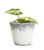 Conical Shape Stone Finish Stone Planter Pot