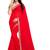 Red embroidered nazneen saree with blouse
