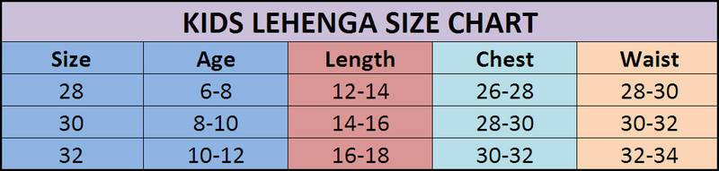 Fenta Net semi stitched lehenga choli with dupatta