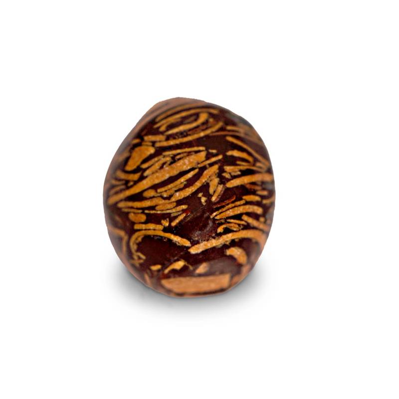 Brown Jasper Precious loose-gemstones Alpenglo 1758895