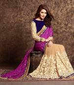 light chiku embroidered net saree with blouse