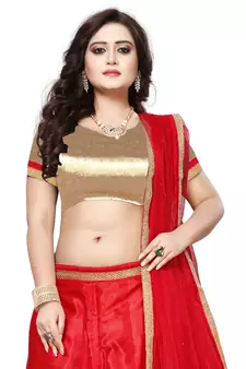 Red Embroidered Net Lehenga With Dupatta