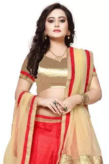Red Embroidered Net Lehenga With Dupatta
