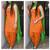 Orange plain cotton dress material