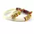 Amazing  Bangles