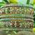 Multi Color New Design Lakh Bangles 6 Pcs Set