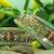Multi Color New Design Lakh Bangles 6 Pcs Set