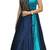 light_sky_blue silk embroidered goun (Premium quality)