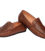 Brown Synthetic footwear