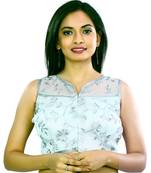 Silver Tissue Net Ari Embriodery Sleeves Blouse