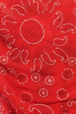 Red embroidered georgette saree with blouse 4