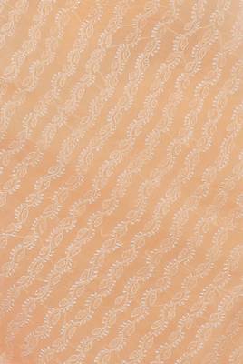 Light peach embroidered cotton saree with blouse 4