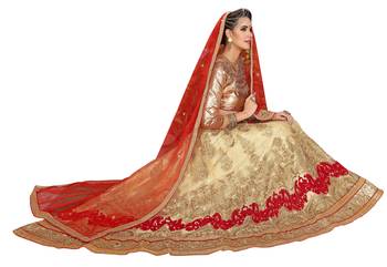 Beige Embroidered Net Unstitched Lehenga With Dupatta 2
