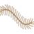 Multicolor american diamonds Diamond hair accessories