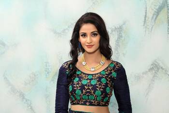 Multicolor embroidered art silk saree with blouse 5