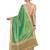Green embroidered chiffon saree with blouse