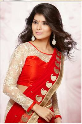 Red Chiffon Net Jacquard Half And Half Saree with Blouse 2
